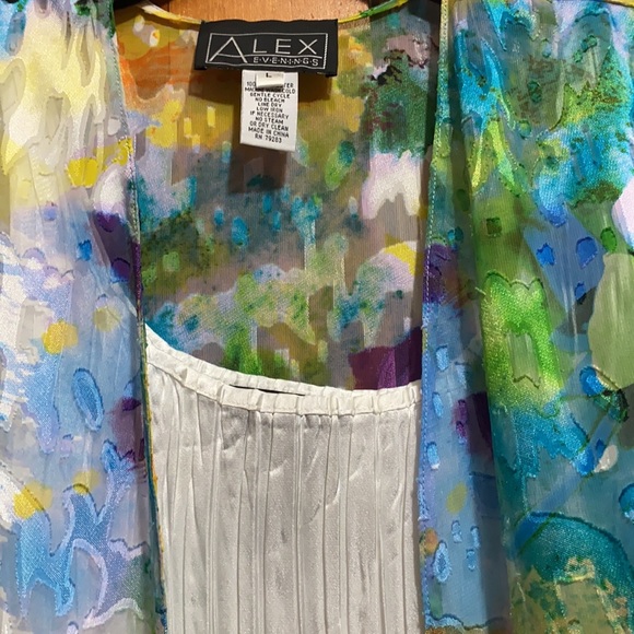 COPY - Alex evenings two piece - Picture 2 of 3